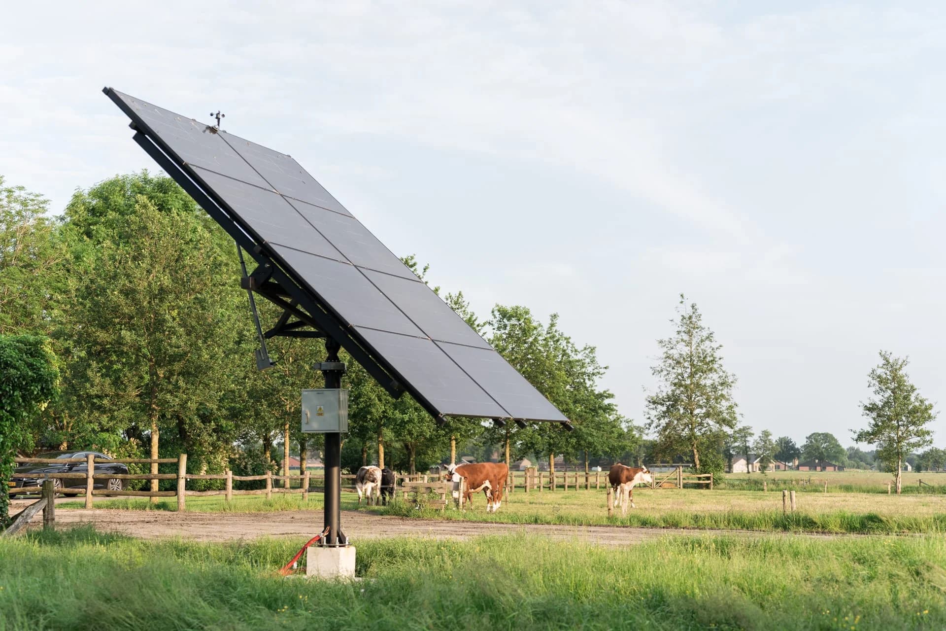 Solar tracker met zonnepanelen in een weiland met koeien.